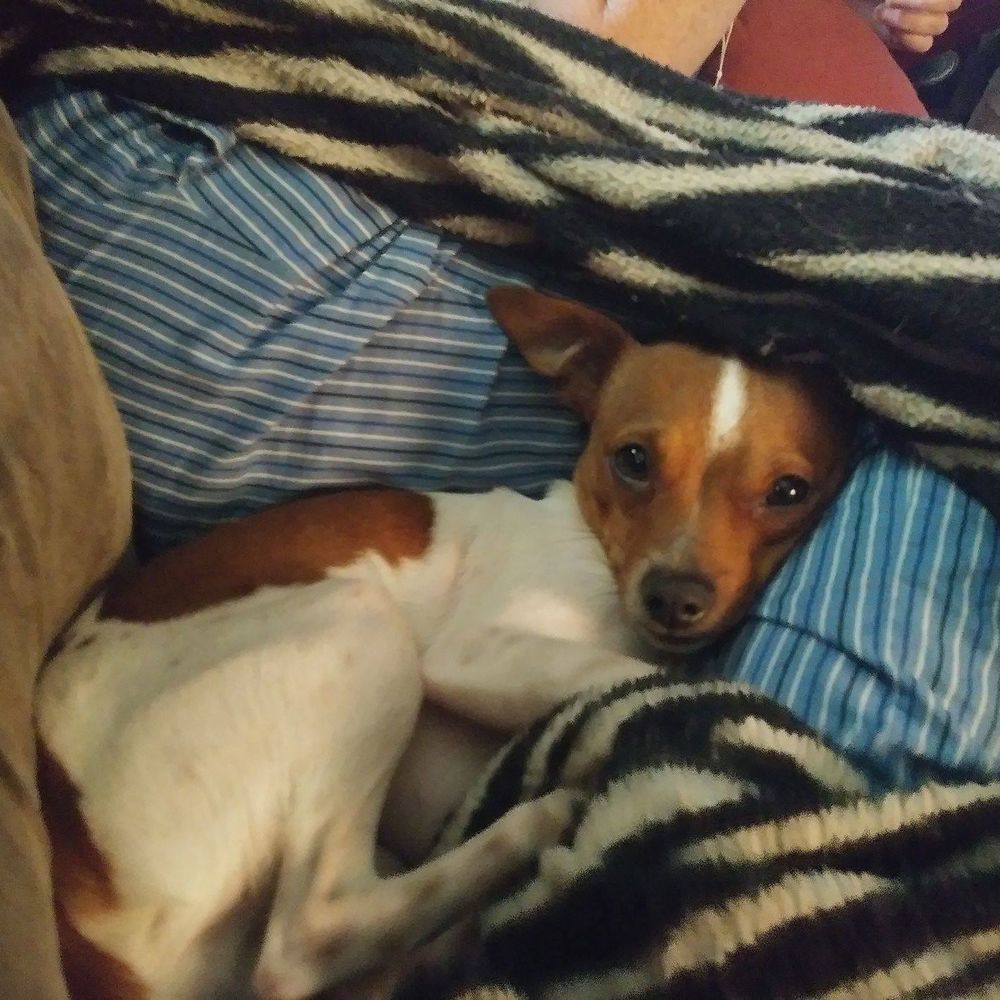 Meet your Posher, Suzanne